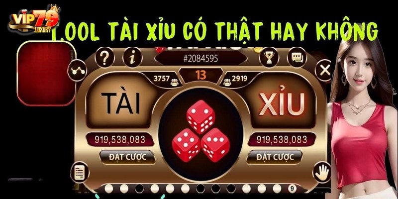 Tool Tài Xỉu có gì đặc biệt không? 