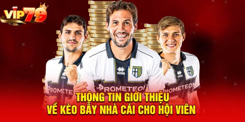 Thông tin giới thiệu về kèo bẫy nhà cái cho hội viên&nbsp;